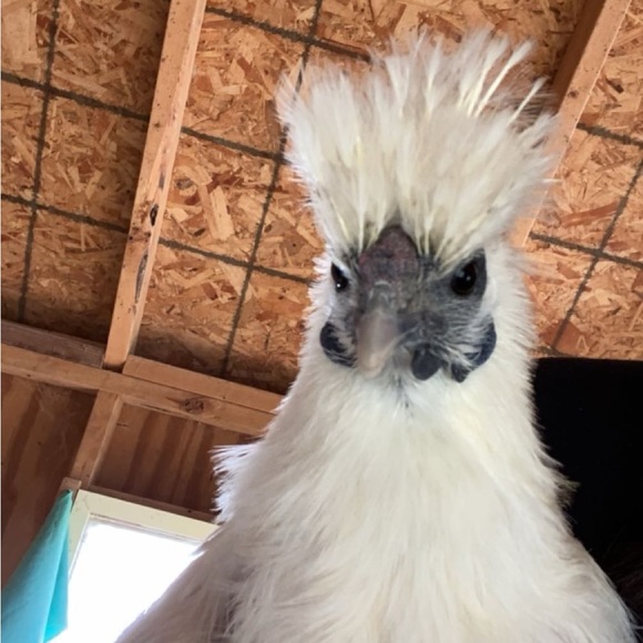 My Depop is @malbowman !!! - Picture 1 of 1